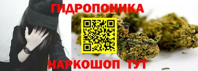 ALPHA PVP Аргун