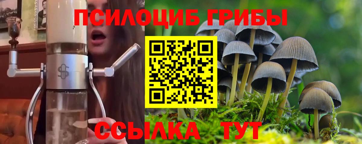 Галлюциногенные грибы мухоморы Белогорск